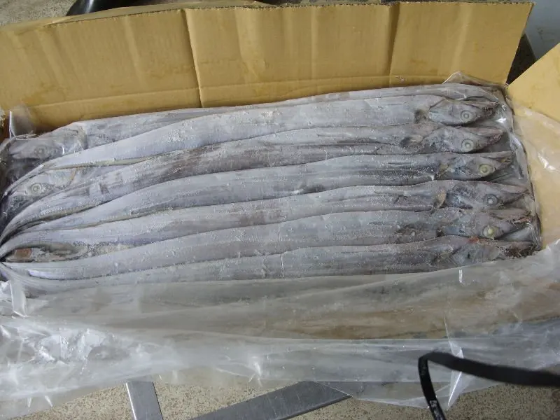 Frozen Ribbon Fish Supplier Buy Frozen Whole Fish,Dry Ribbon Fish