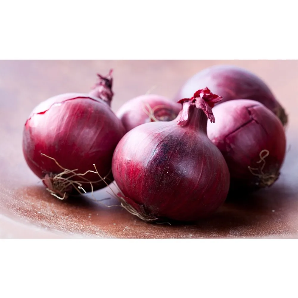top quality fresh onion 2020 for sale