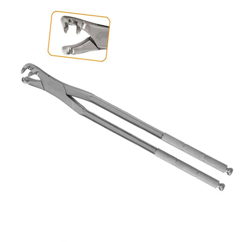 Stainless Steel Equine Molar Forceps/horse Tooth Forceps By Riaz Jamal