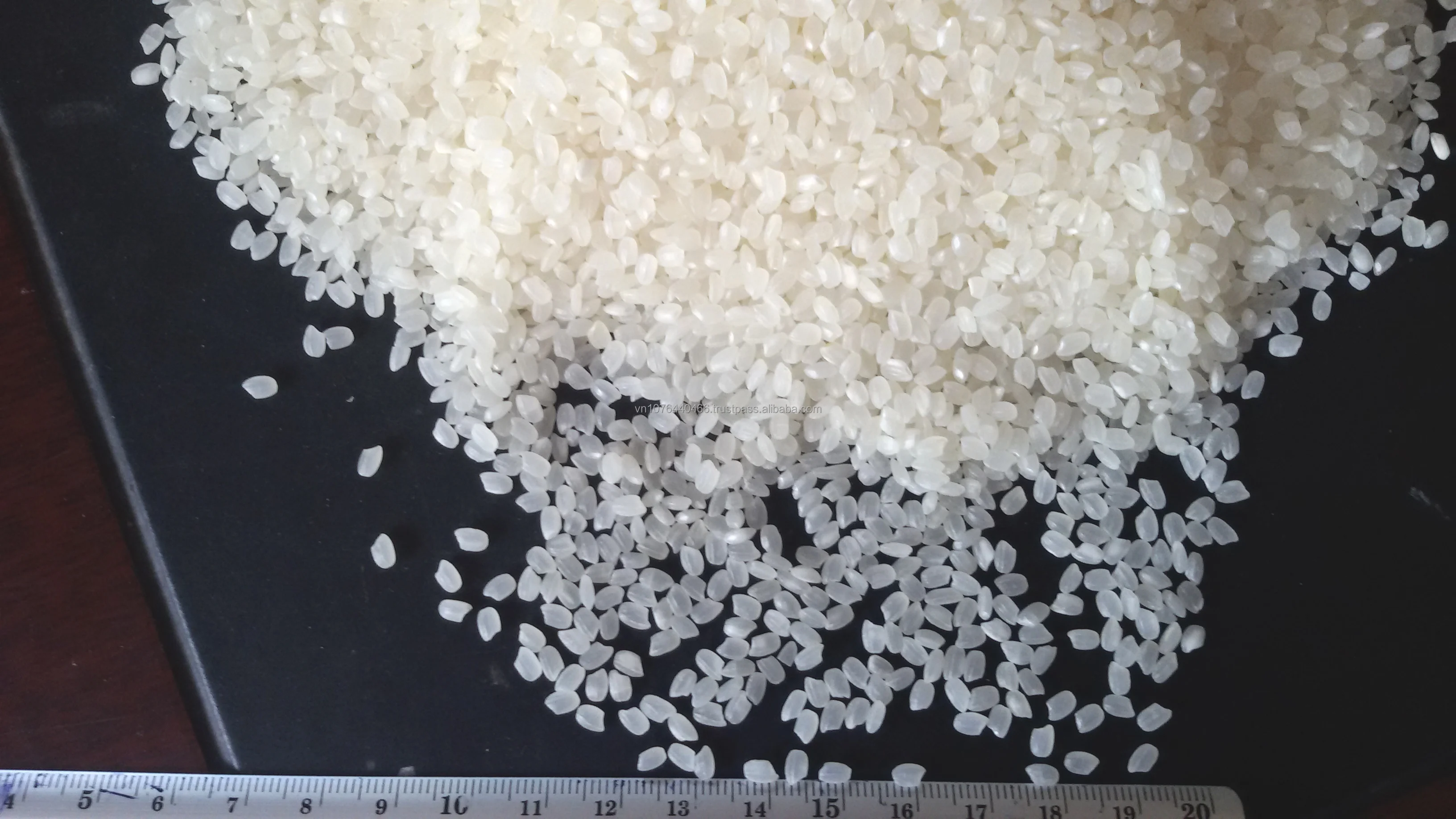 Order Now Calrose/camolino/egyptian Rice/medium Grain Rice From Vietnam ...