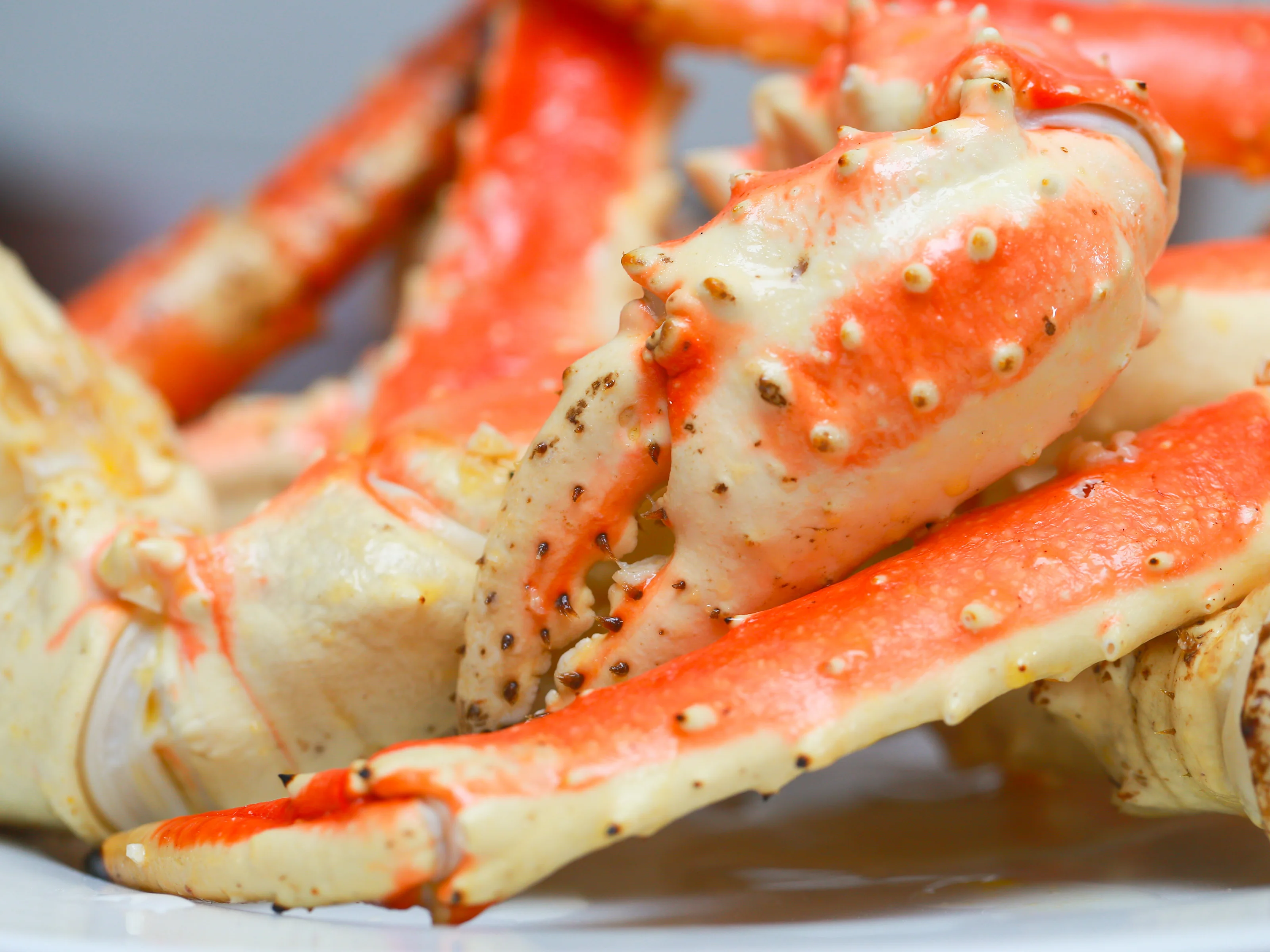 2019 live king crabs / red king crabs for sale premium quality