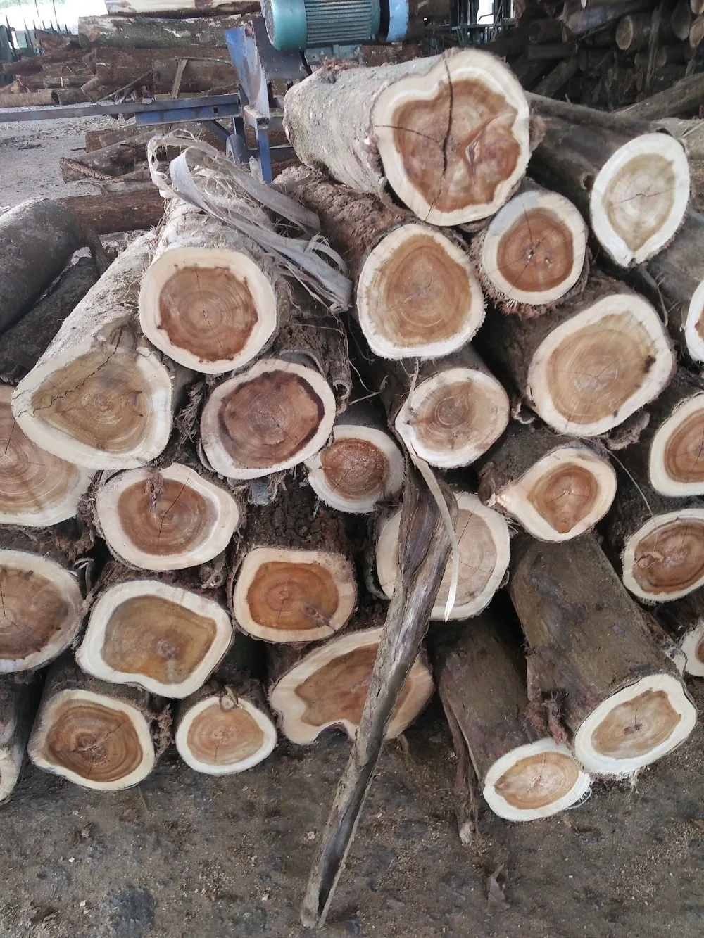 Acacia Timber/ Lumber From Viet Nam Buy Price Solid Wood Benchtops