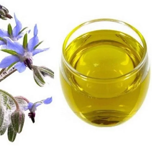 Масло бораго. Borage Oil. Масло бурачника способ получения.