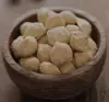 Indonesia Candlenut Whole