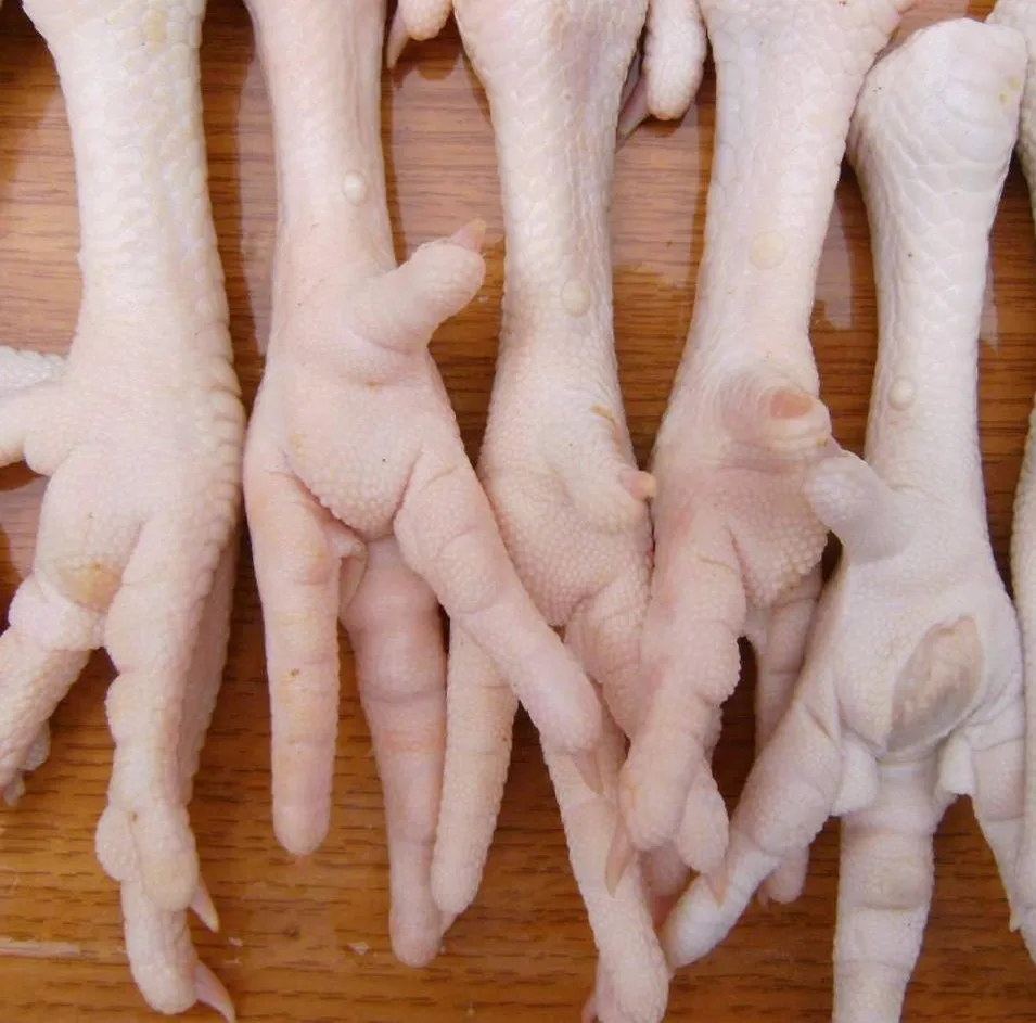 high quality frozen chicken feet for sale at good price