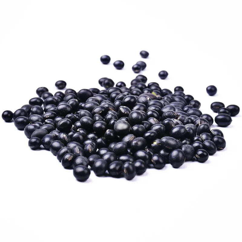 
High Quality Organic Black Kidney Beans 