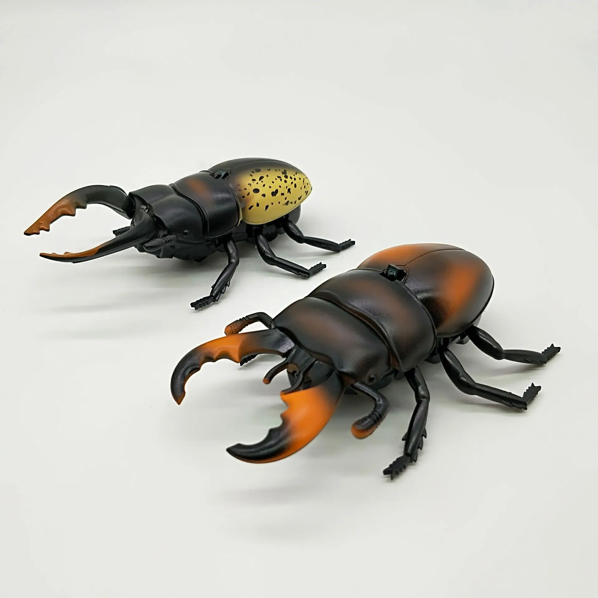 remote control beetle price