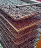 solid sun dried cocoa beans