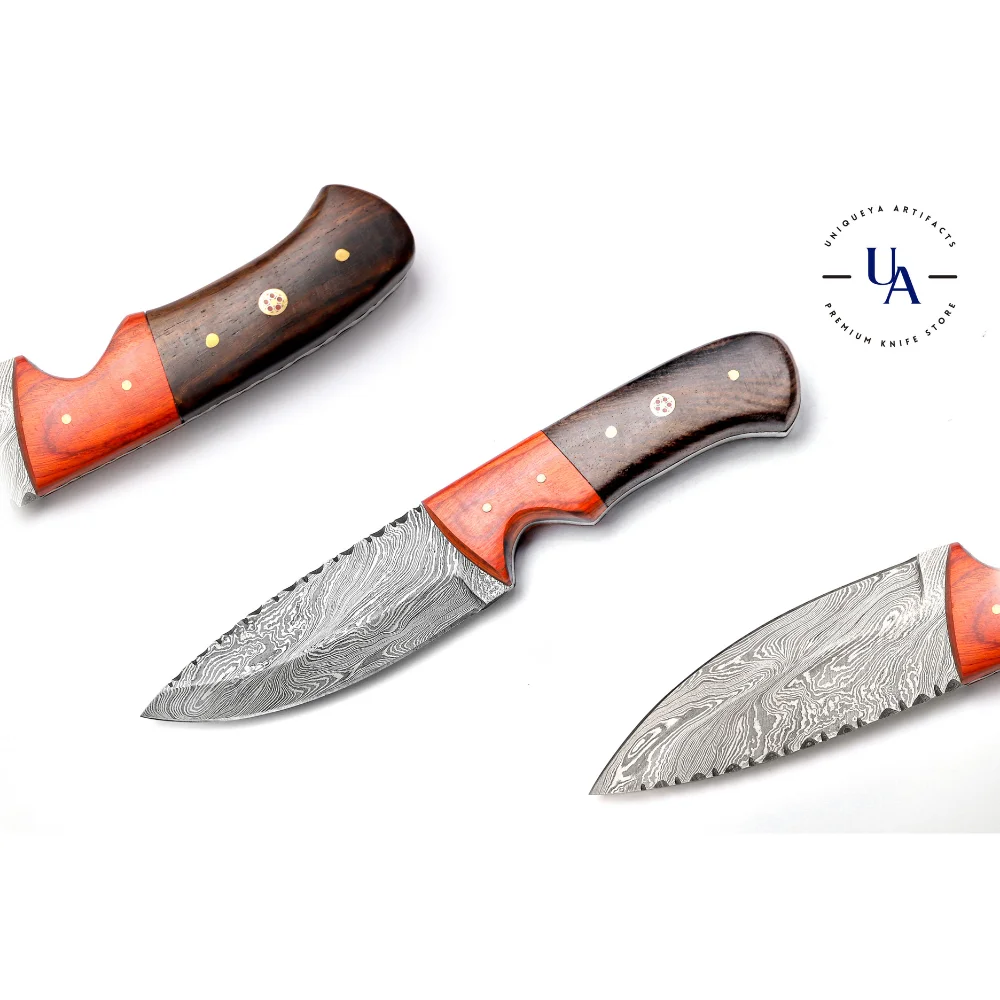 Mini Damascus Steel Outdoor Knife With Pakka Wood Handle Best Mini