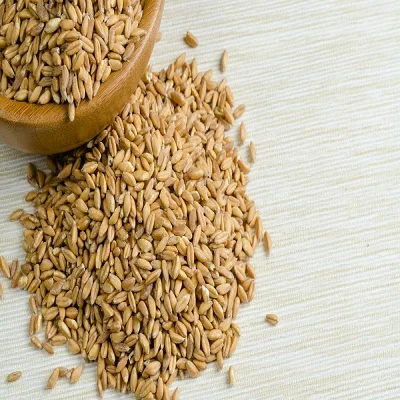 quality bulgur wheat