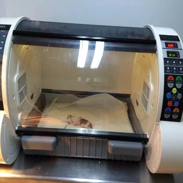puppy incubator