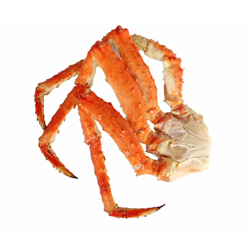 Crab 11.png