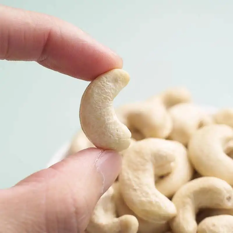 Origin Canada wholesale price premium quality organic cashew nut /raw cashews