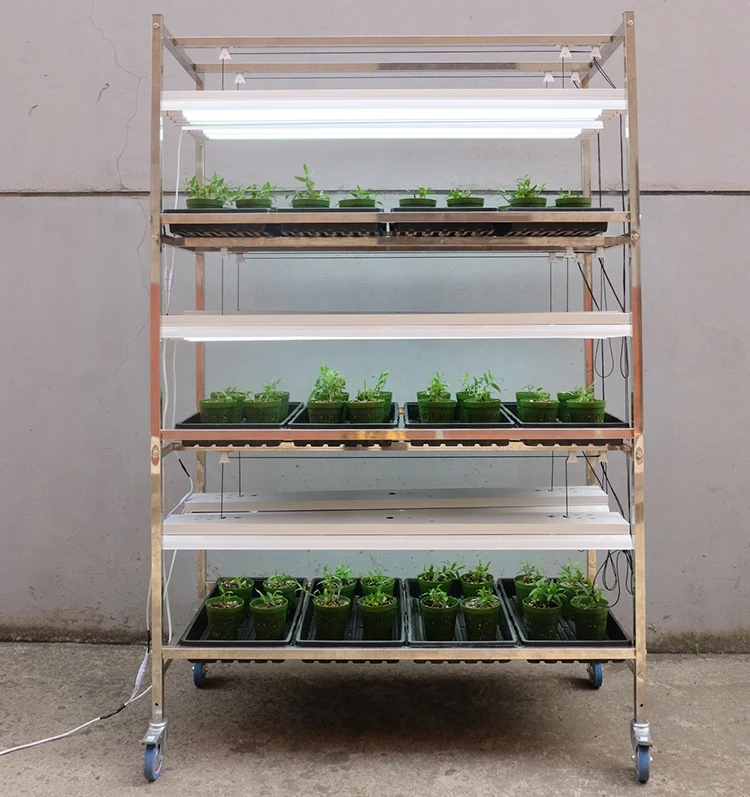 Automatic Hydroponics Microgreen Grow System Fodder Tray Buy Skyplant