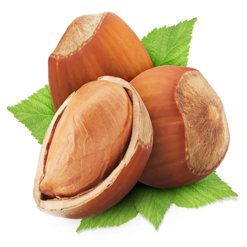high quality organic hazelnuts for sale