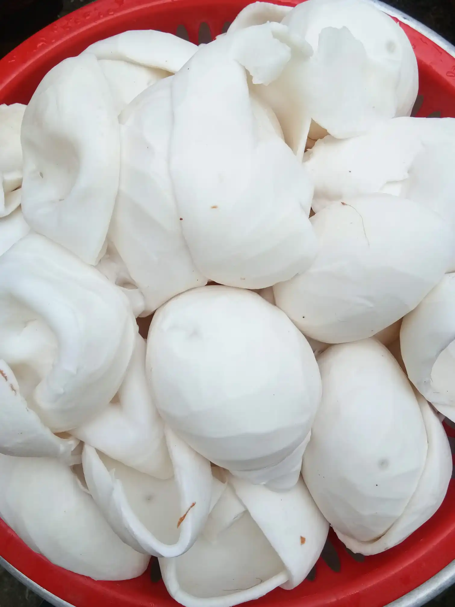 Coconut Meat In Chunk/peeled Young Coconut Meat/coconut Meat Dices ...