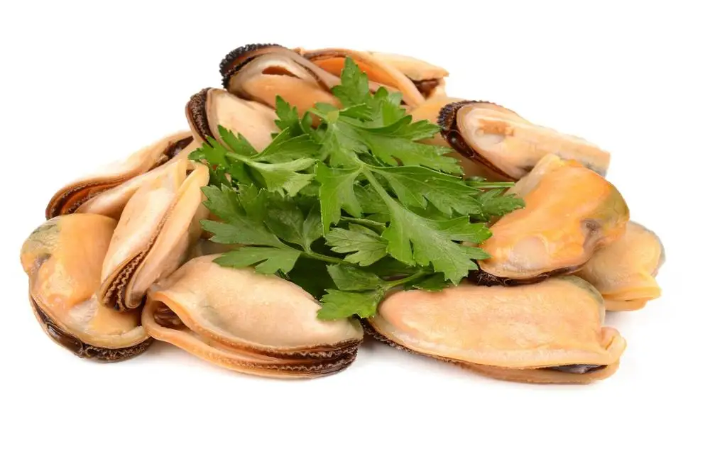 top quality shellfish frozen common half shell mussel - buy 海鲜