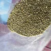 Broom Corn Millet Hulled for sale