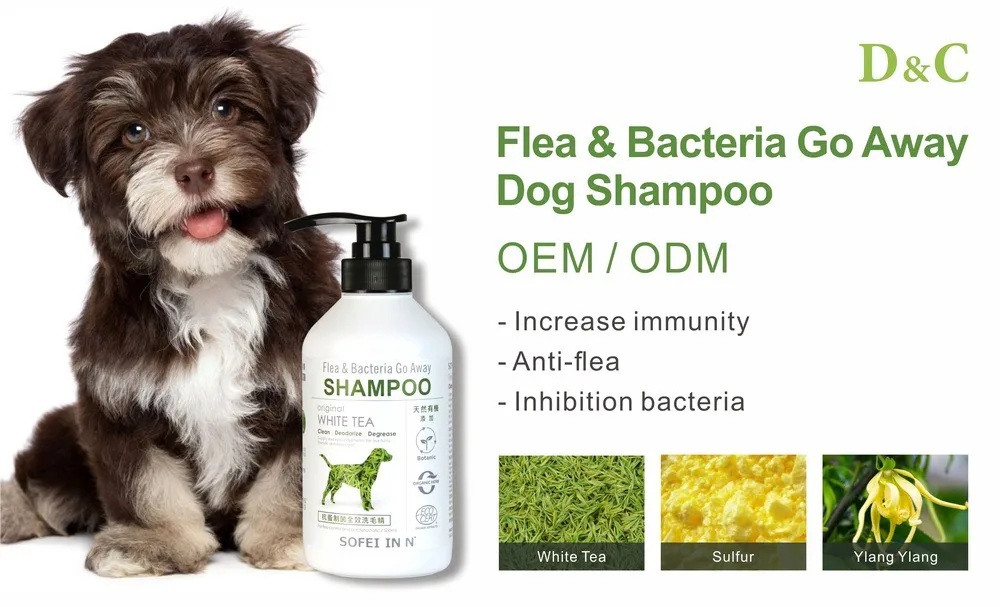 Oem Flea And Tick Control Bath Dog Pet Shampoo Buy Private Label Anti