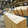 Red Meranti Sawn Timber Lumber / Sawn Lumber Logs Construction Pine Timber
