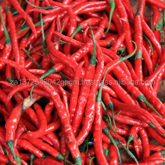 Red Dried Birds Eye Chilies For Sale Buy Red Dried Birds Eye Chilies