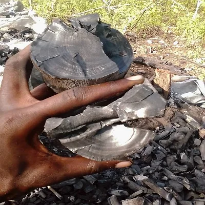 charcoal new 1.jpg