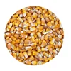 /product-detail/dried-yellow-corn-maize-dry-for-animal-feed-84-237-8655-789--62010718821.html
