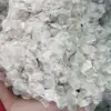 DRIED FISH SCALE/OSSEIN- Ms. Ally +84912438547