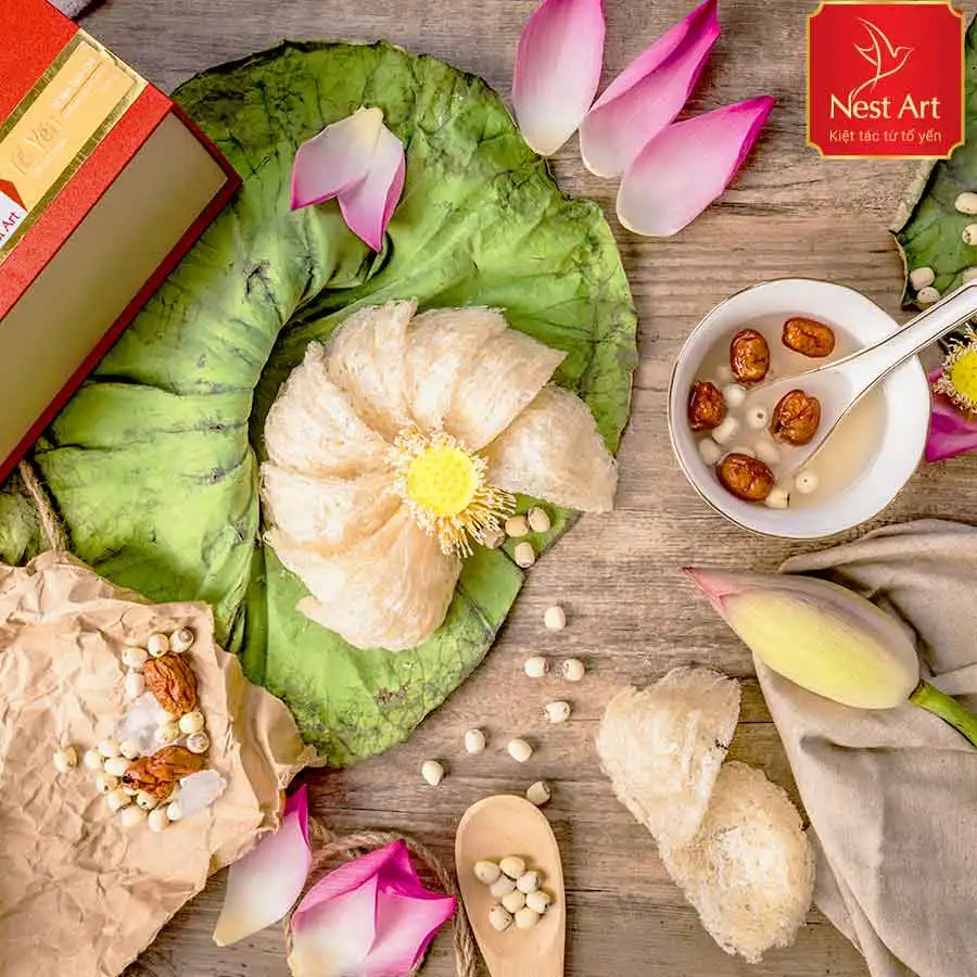 Dried Swallow Bird Nest Premium Edible Birdnest Vietnam Wholesale