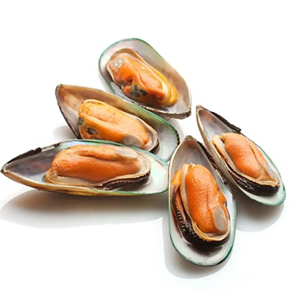 best quality green shell mussels. great prices. fast shipping!