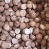 Dried Areca Nut-Whole and Split Betel Nut