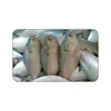 /product-detail/hot-sale-frozen-hilsa-fish-62018144781.html