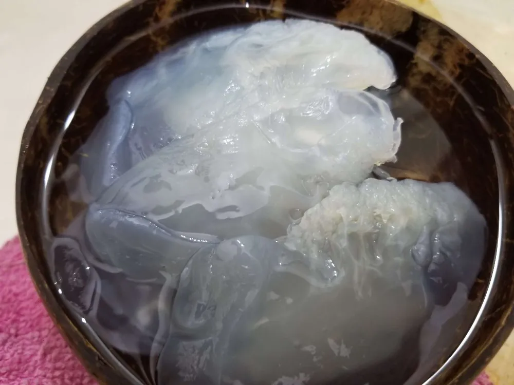 Salted Jellyfish/ Dried Jellyfish /jellyfish Salad Whatsapp + 0084 845