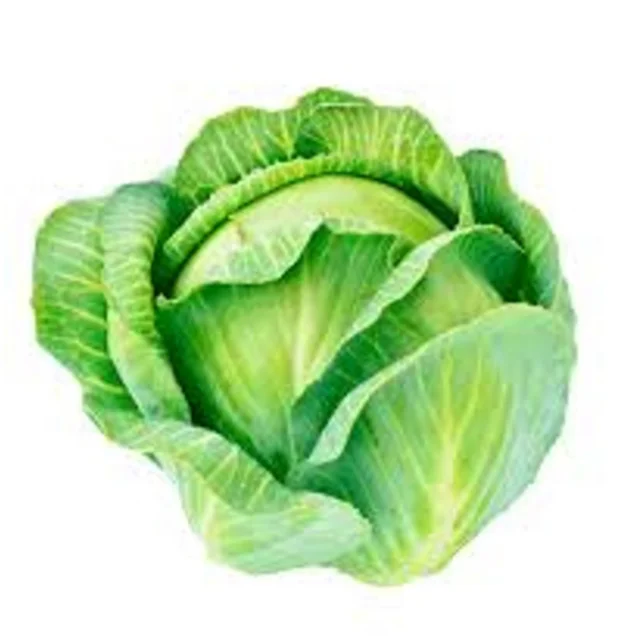 agriculture  vegetables  fresh vegetables  fresh cabbages