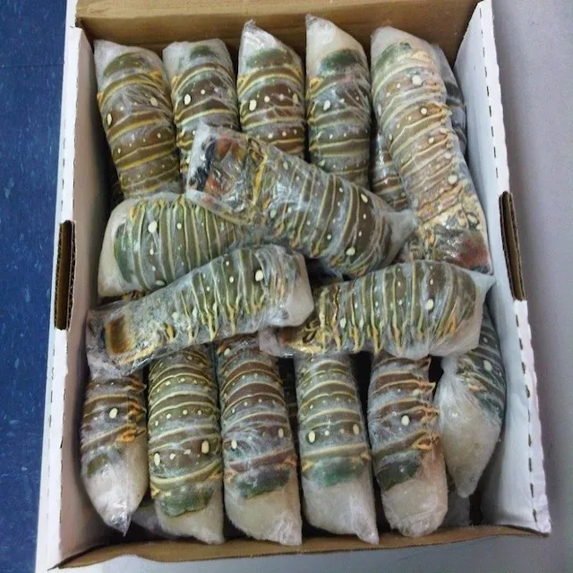LOBSTERSTAILS 03.jpg