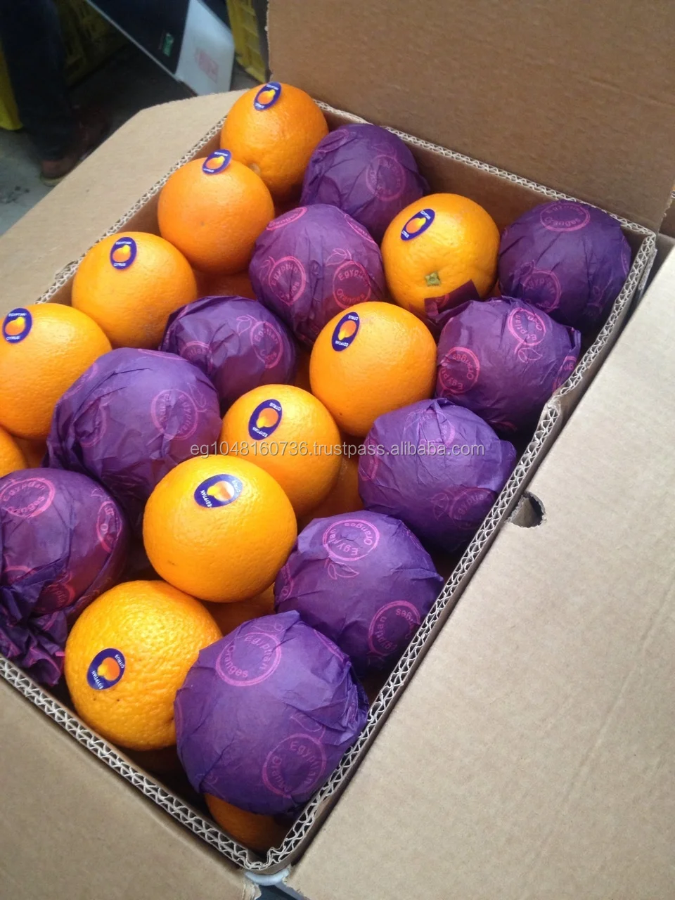 IMG-20150407-WA0005 - Copy