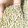 Vietnam GREEN coffee beans weight loss without side effects