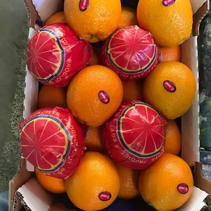 best sale fresh fruit navel orange with big size and great