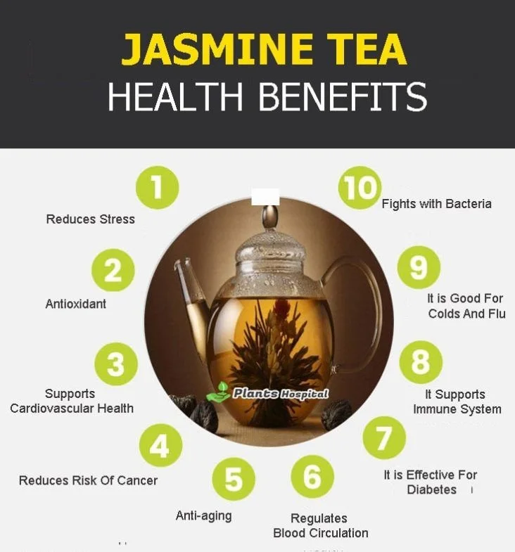 Dried Jasmine Buds,Petal Dehydrated Flower For Tea Jasminum Sambac