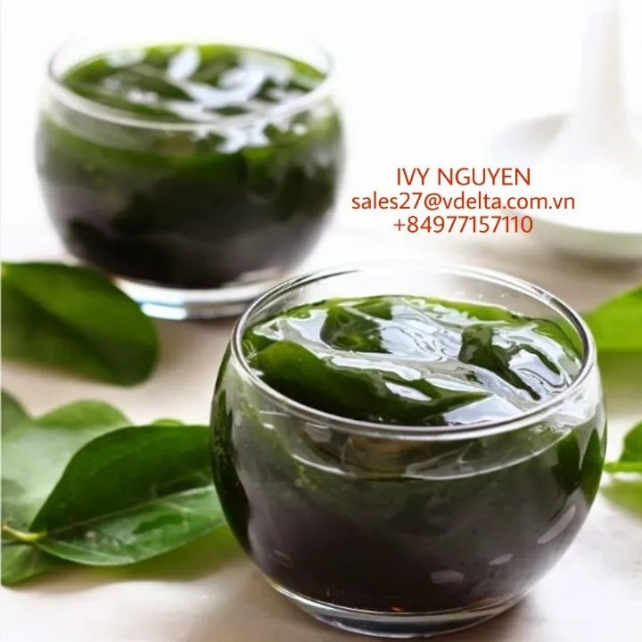 Suong Sam Leaf/ Tiliacora Triandra/ Green Grass Jelly Leaves From