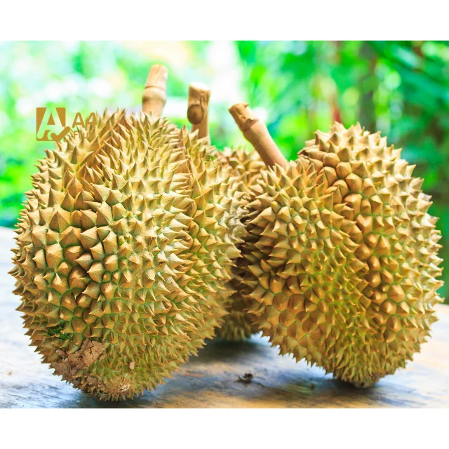 Fresh Cut Durian Fruits For From Thailand Quality Tropical Style Gap ...