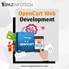 OpenCart Web Development