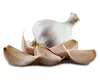 /product-detail/fresh-pure-white-normal-white-garlic-supplier-in-china-50045671910.html