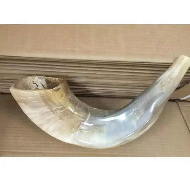 Best Quality Natural Horn Ram Shofar Horn Shofar For Instrumental Ram