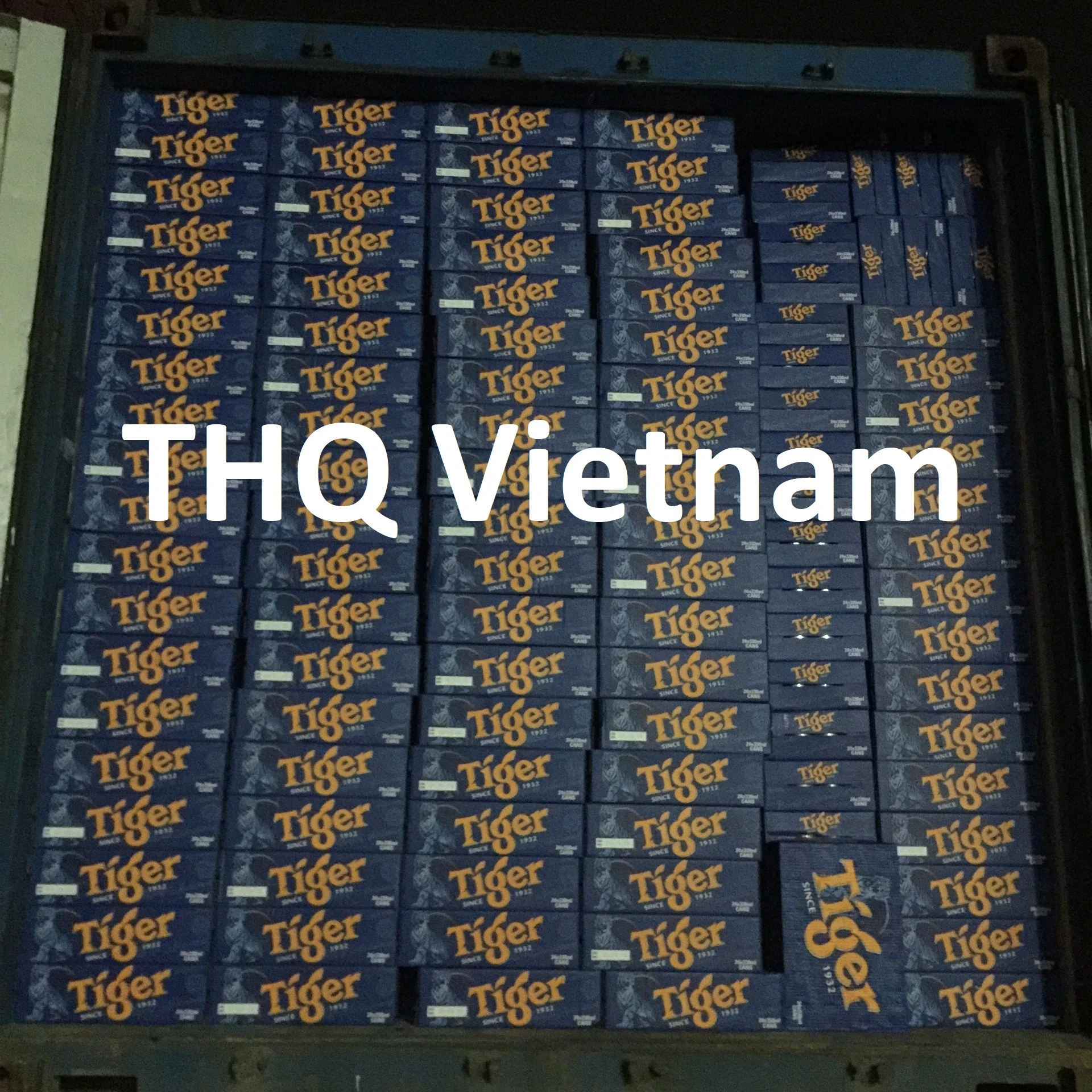 Bia Tiger 330 Ml Trong Có Thể Orgin Việt Nam-Chất Lượng Xuất Khẩu