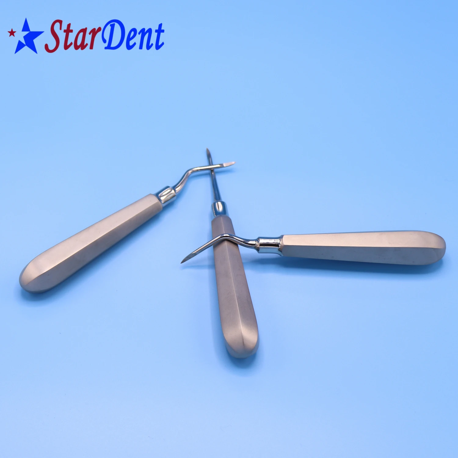 Stainless Steel Dental Root Elevator Autoclave Surgical Instrument