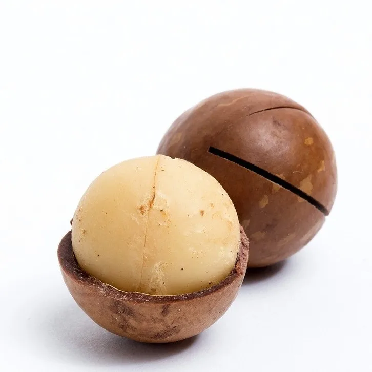 macadamia nut 8.jpg