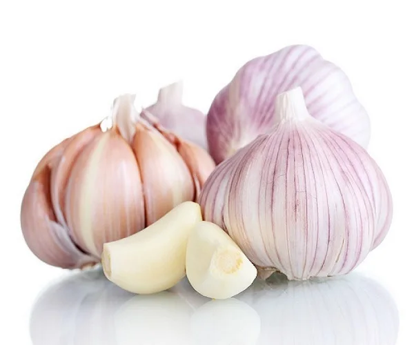 white garlic price for professional importer - buy 白蒜中国大蒜