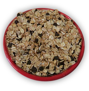 chocolate mueslie.png