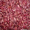 Good quality Red Speckled Kidney Beans